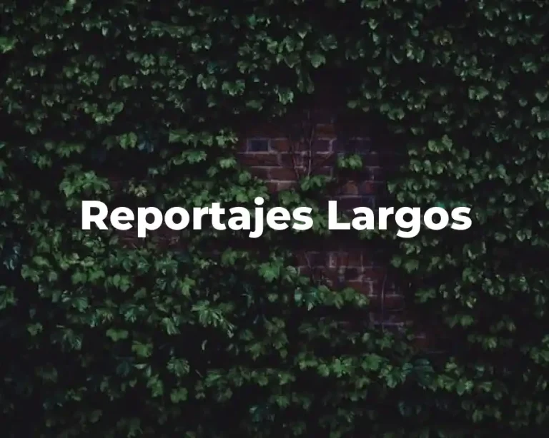 Reportajes Largos