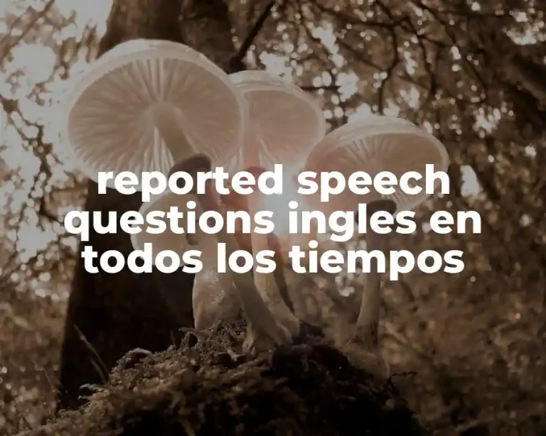 reported speech questions ingles en todos los tiempos