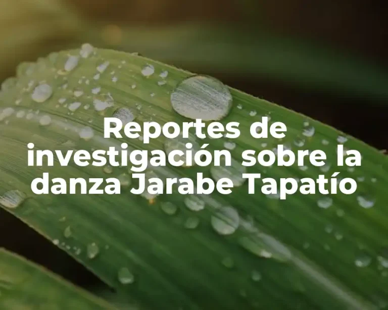 Reportes de investigación sobre la danza Jarabe Tapatío