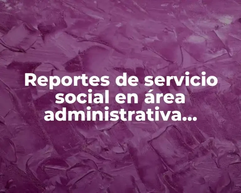 Reportes de servicio social en área administrativa recomendaciones