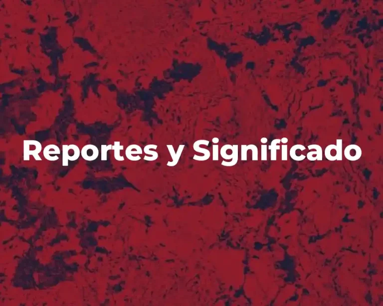 Reportes y Significado