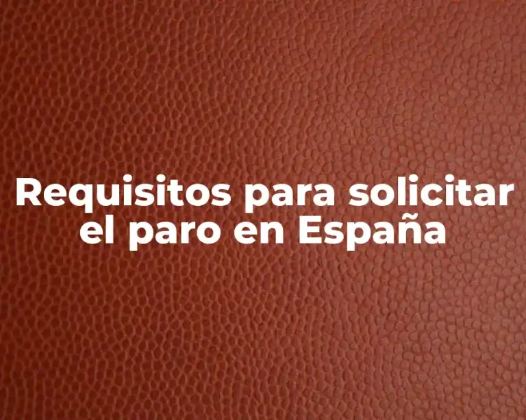 Requisitos para solicitar el paro en España
