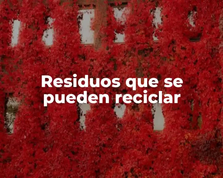 Residuos que se pueden reciclar