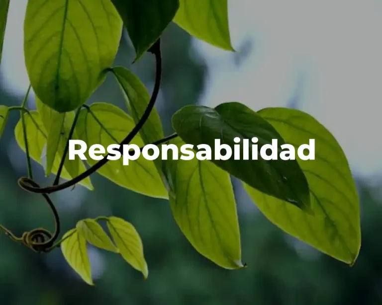 Responsabilidad