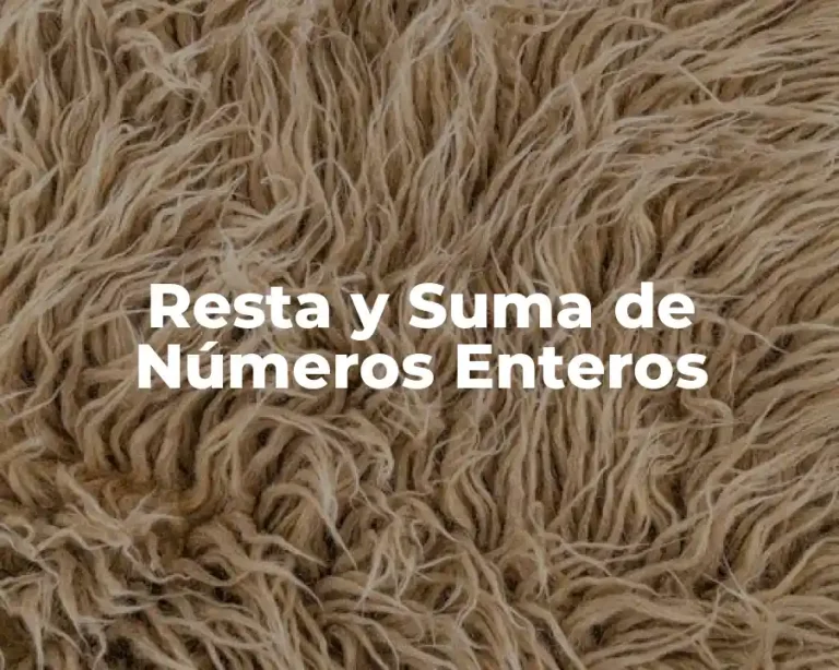 Resta y Suma de Números Enteros