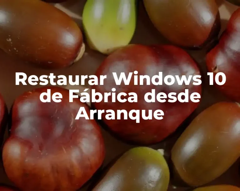 Restaurar Windows 10 de Fábrica desde Arranque