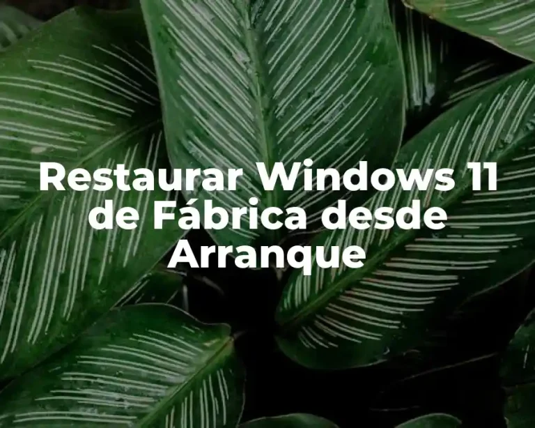 Restaurar Windows 11 de Fábrica desde Arranque