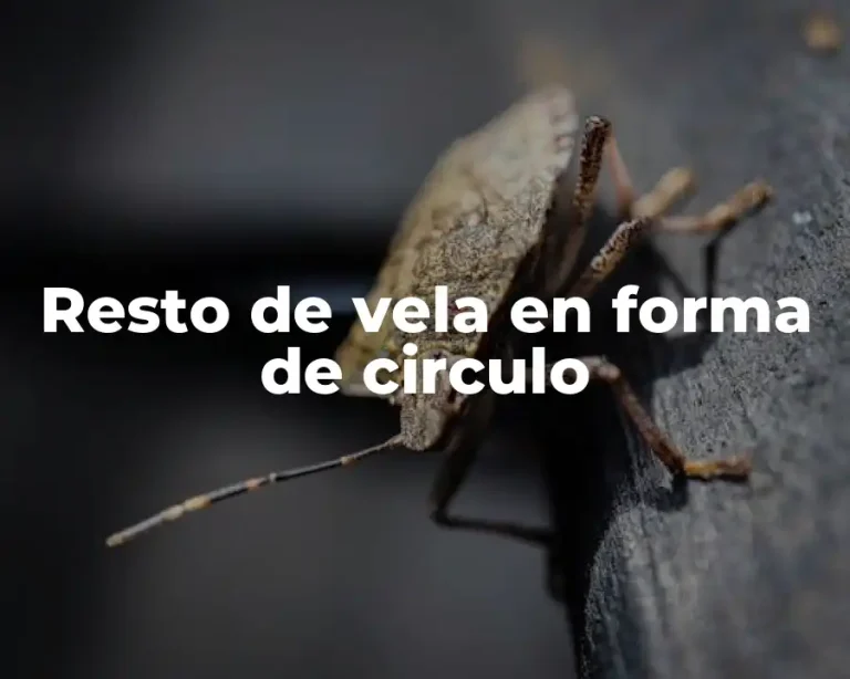 Resto de vela en forma de circulo