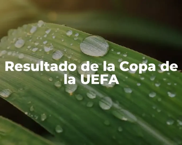 Resultado de la Copa de la UEFA