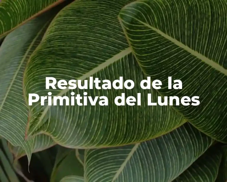 Resultado de la Primitiva del Lunes