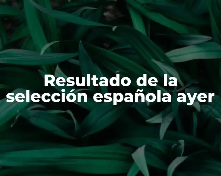 Resultado de la selección española ayer