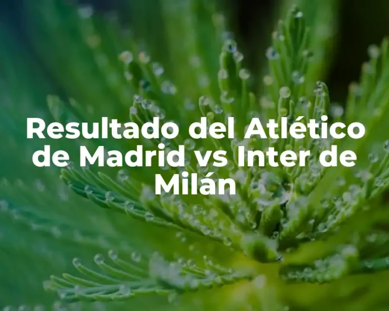 Resultado del Atlético de Madrid vs Inter de Milán