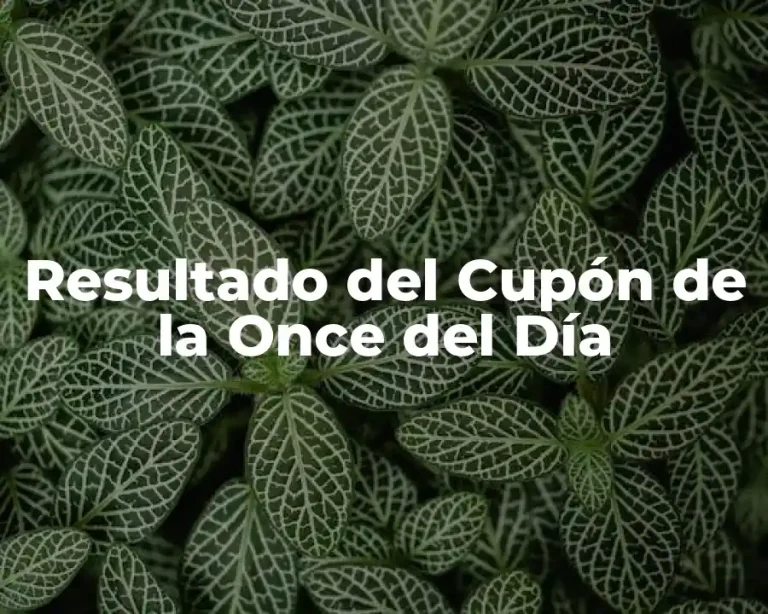 Resultado del Cupón de la Once del Día