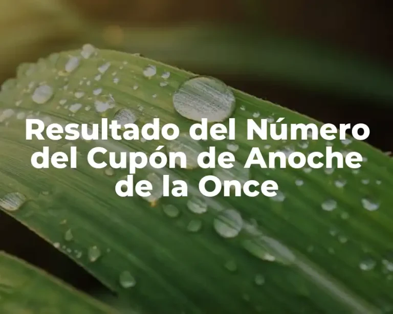 Resultado del Número del Cupón de Anoche de la Once