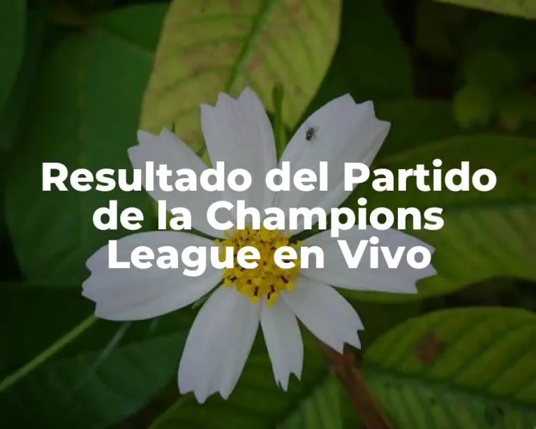 Resultado del Partido de la Champions League en Vivo