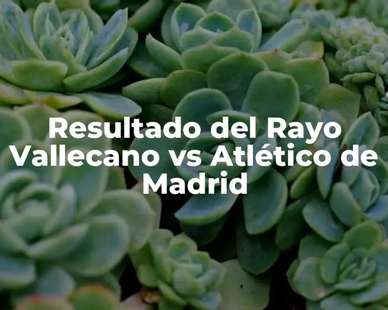 Resultado del Rayo Vallecano vs Atlético de Madrid
