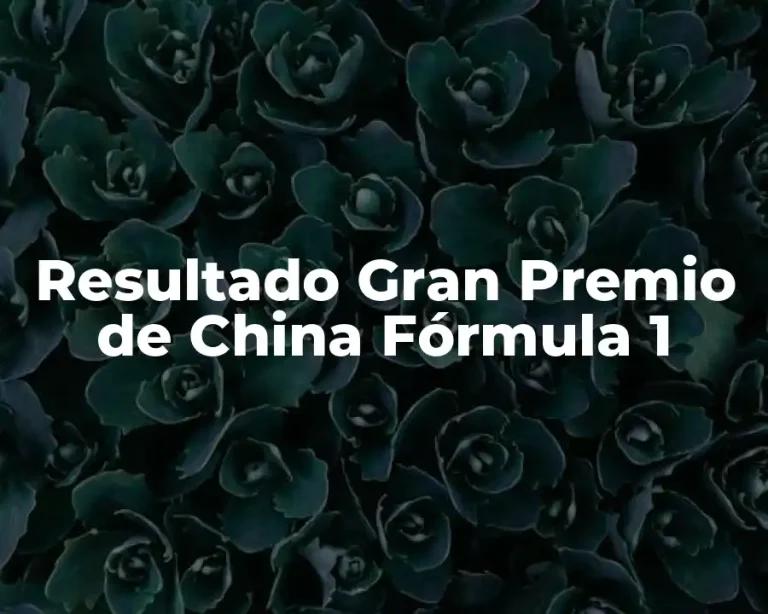 Resultado Gran Premio de China Fórmula 1
