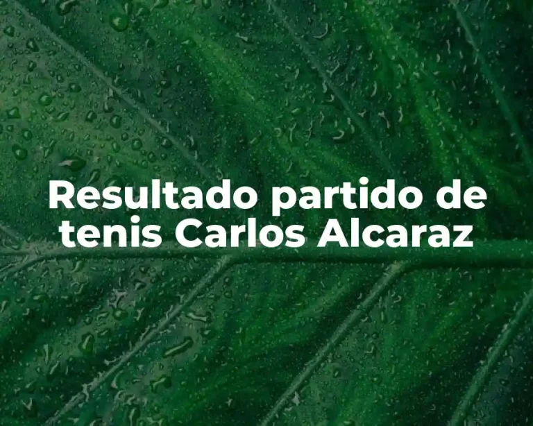 Resultado partido de tenis Carlos Alcaraz