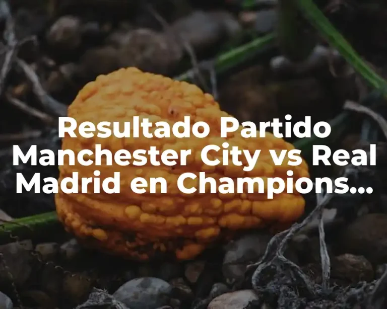 Resultado Partido Manchester City vs Real Madrid en Champions League