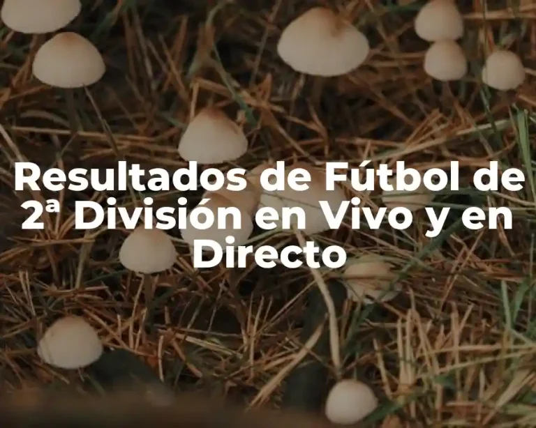 Resultados de Fútbol de 2ª División en Vivo y en Directo