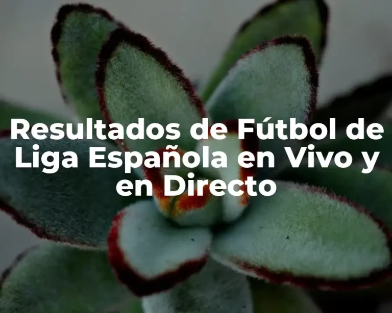 Resultados de Fútbol de Liga Española en Vivo y en Directo