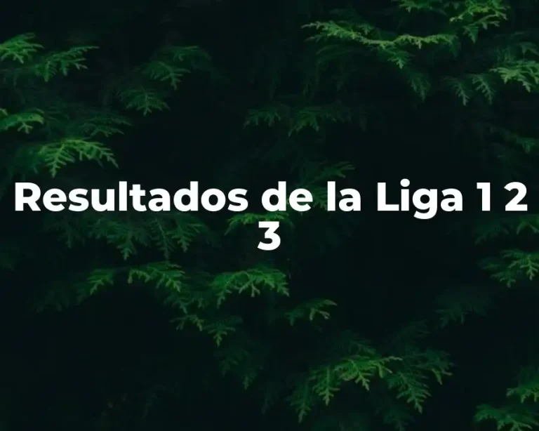 Resultados de la Liga 1 2 3