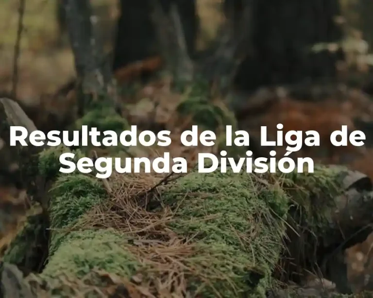 Resultados de la Liga de Segunda División