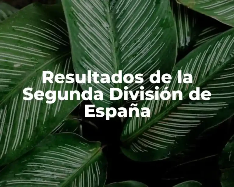 Resultados de la Segunda División de España
