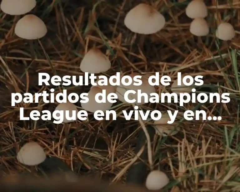 Resultados de los partidos de Champions League en vivo y en directo