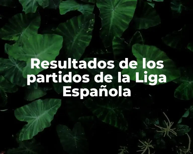 Resultados de los partidos de la Liga Española