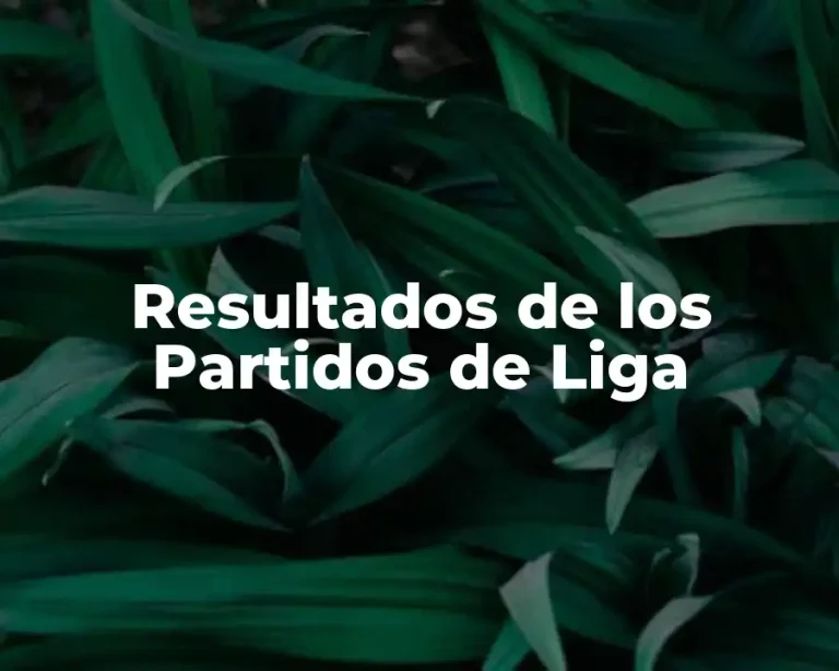 Resultados de los Partidos de Liga