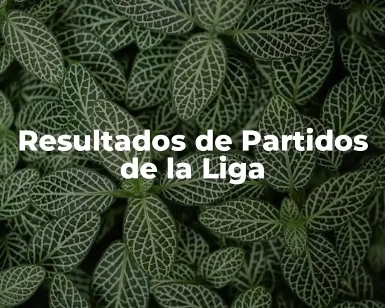 Resultados de Partidos de la Liga