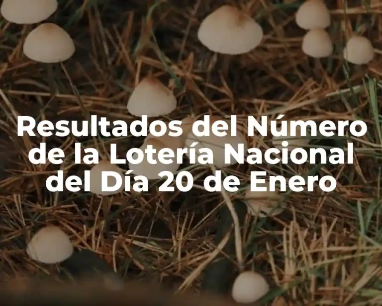 Resultados del Número de la Lotería Nacional del Día 20 de Enero