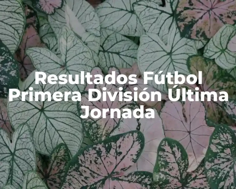 Resultados Fútbol Primera División Última Jornada