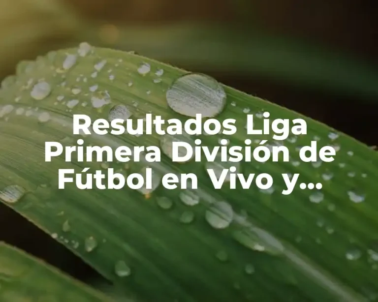Resultados Liga Primera División de Fútbol en Vivo y Últimas Noticias