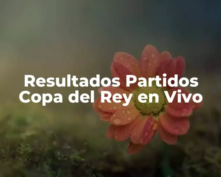 Resultados Partidos Copa del Rey en Vivo