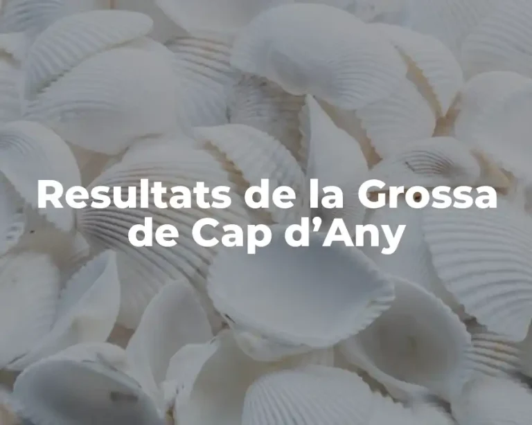 Resultats de la Grossa de Cap d’Any