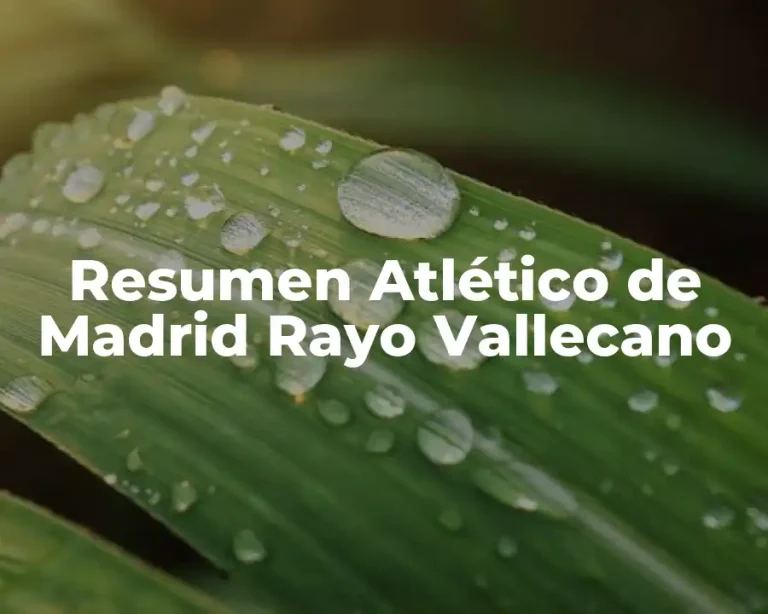 Resumen Atlético de Madrid Rayo Vallecano