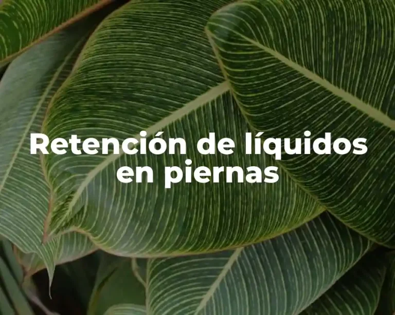 Retención de líquidos en piernas