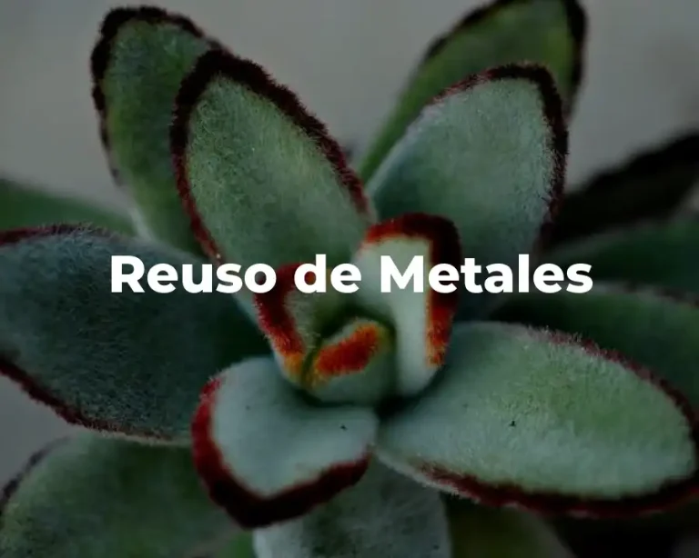 Reuso de Metales