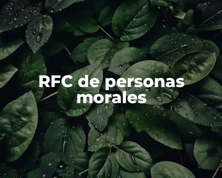 RFC de personas morales