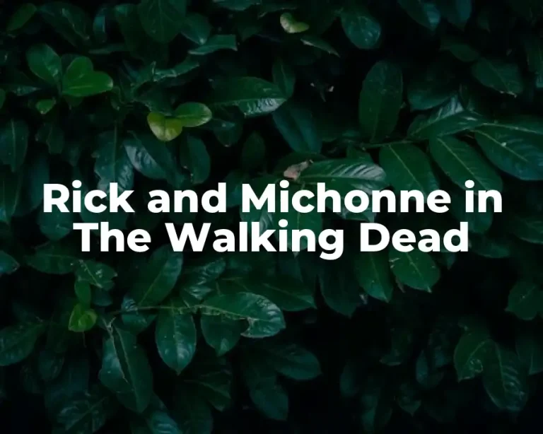 Rick and Michonne in The Walking Dead