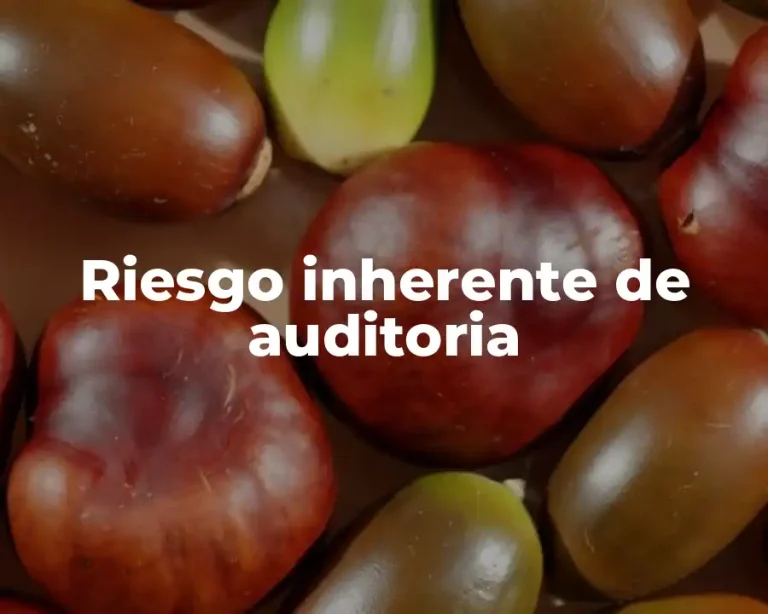 Riesgo inherente de auditoria