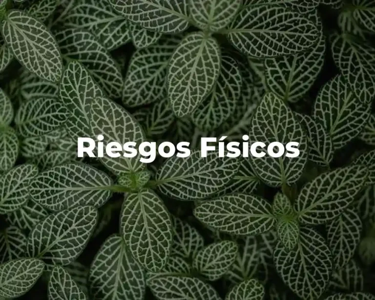 Riesgos Físicos