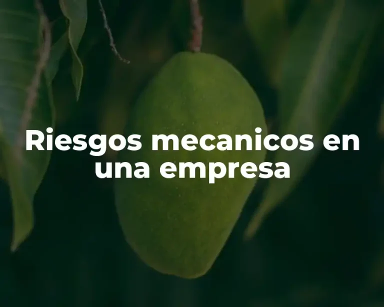 Riesgos mecanicos en una empresa