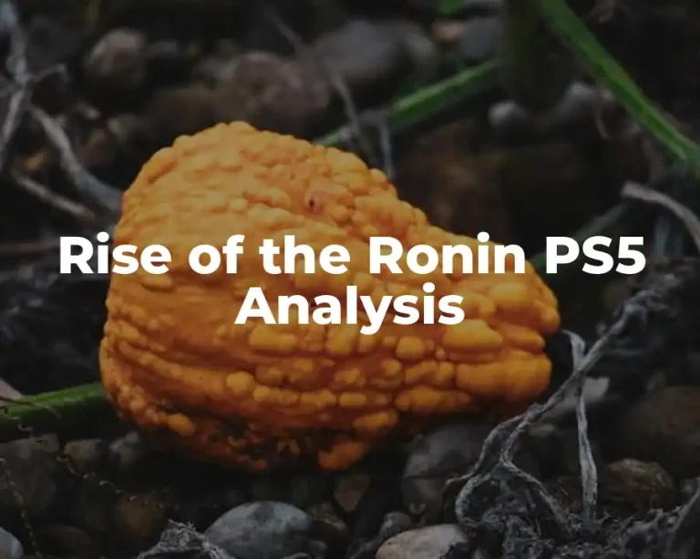 Rise of the Ronin PS5 Analysis