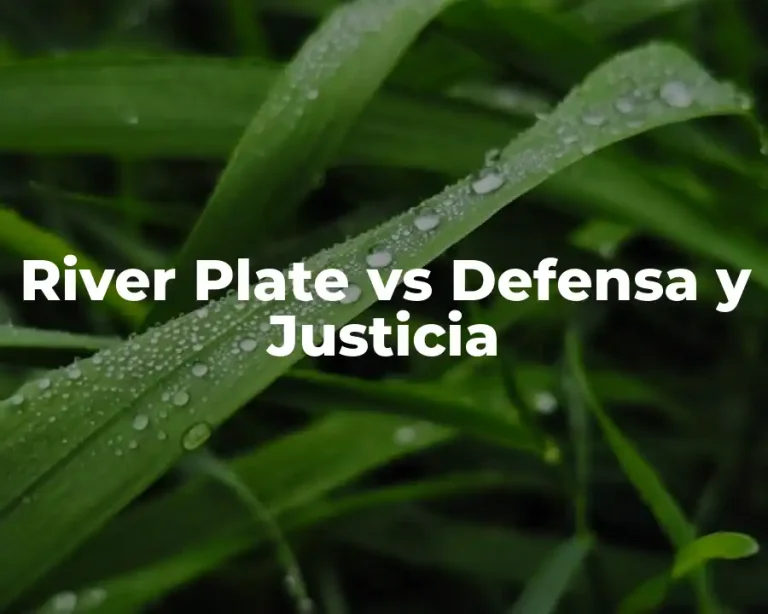 River Plate vs Defensa y Justicia