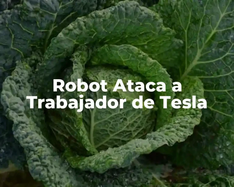 Robot Ataca a Trabajador de Tesla