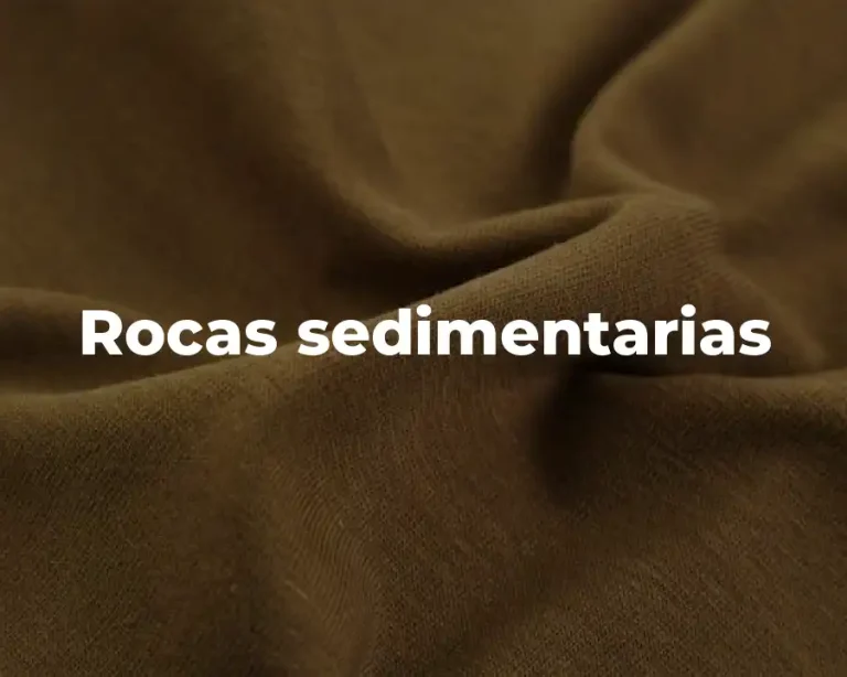 Rocas sedimentarias