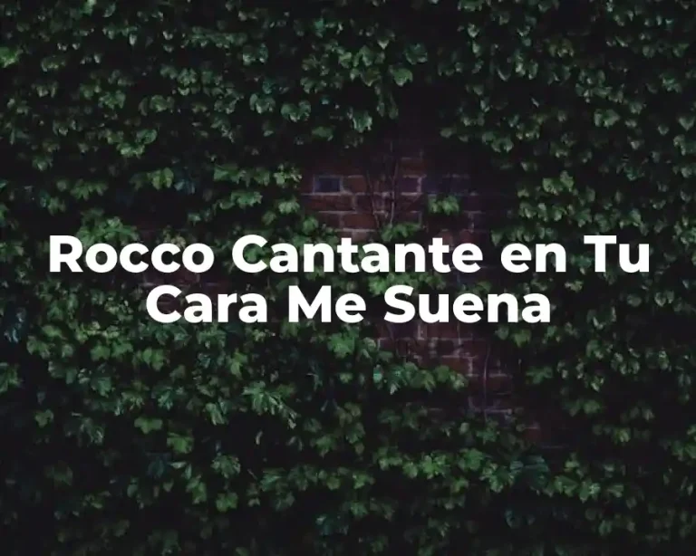 Rocco Cantante en Tu Cara Me Suena